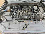 Ford Ranger 2024