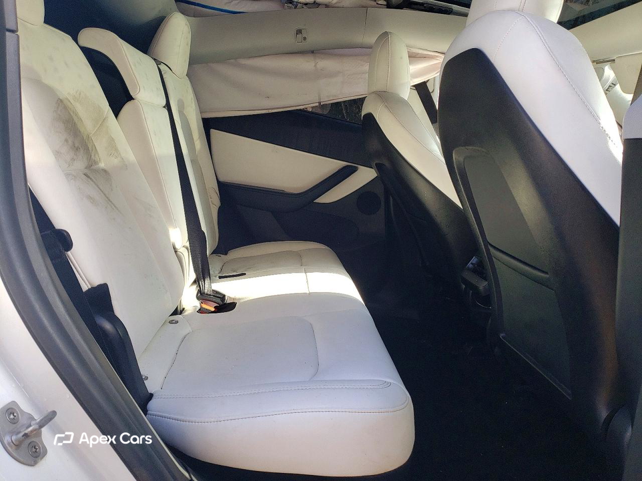 Tesla Model Y 2020