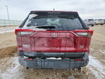 Toyota RAV 4 2020