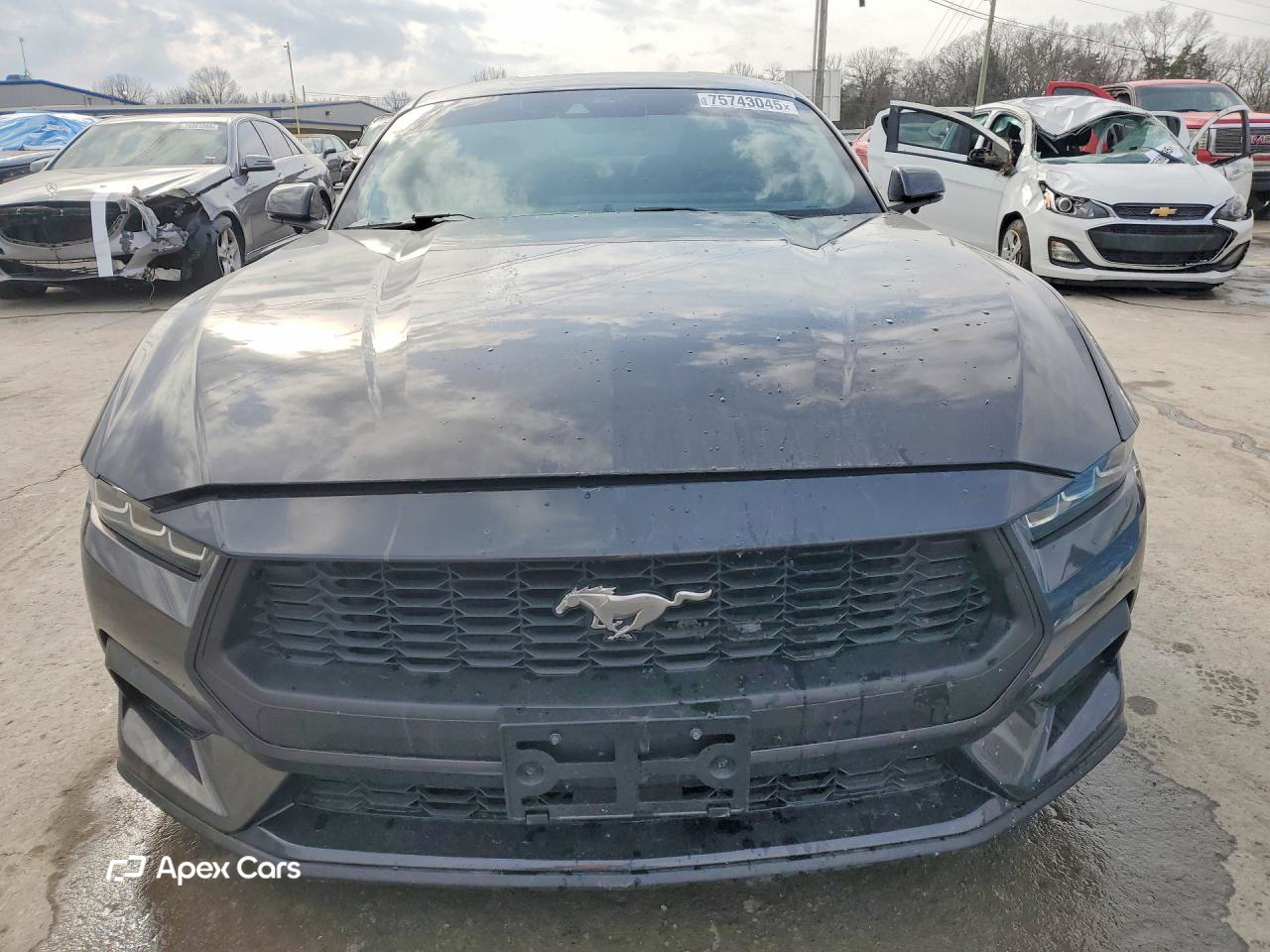 Ford Mustang 2024