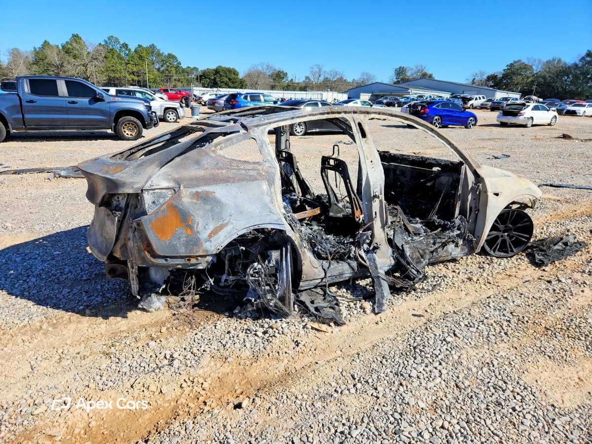 Tesla Model Y 2024