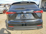 Lexus NX 2021