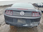 Ford Mustang 2014