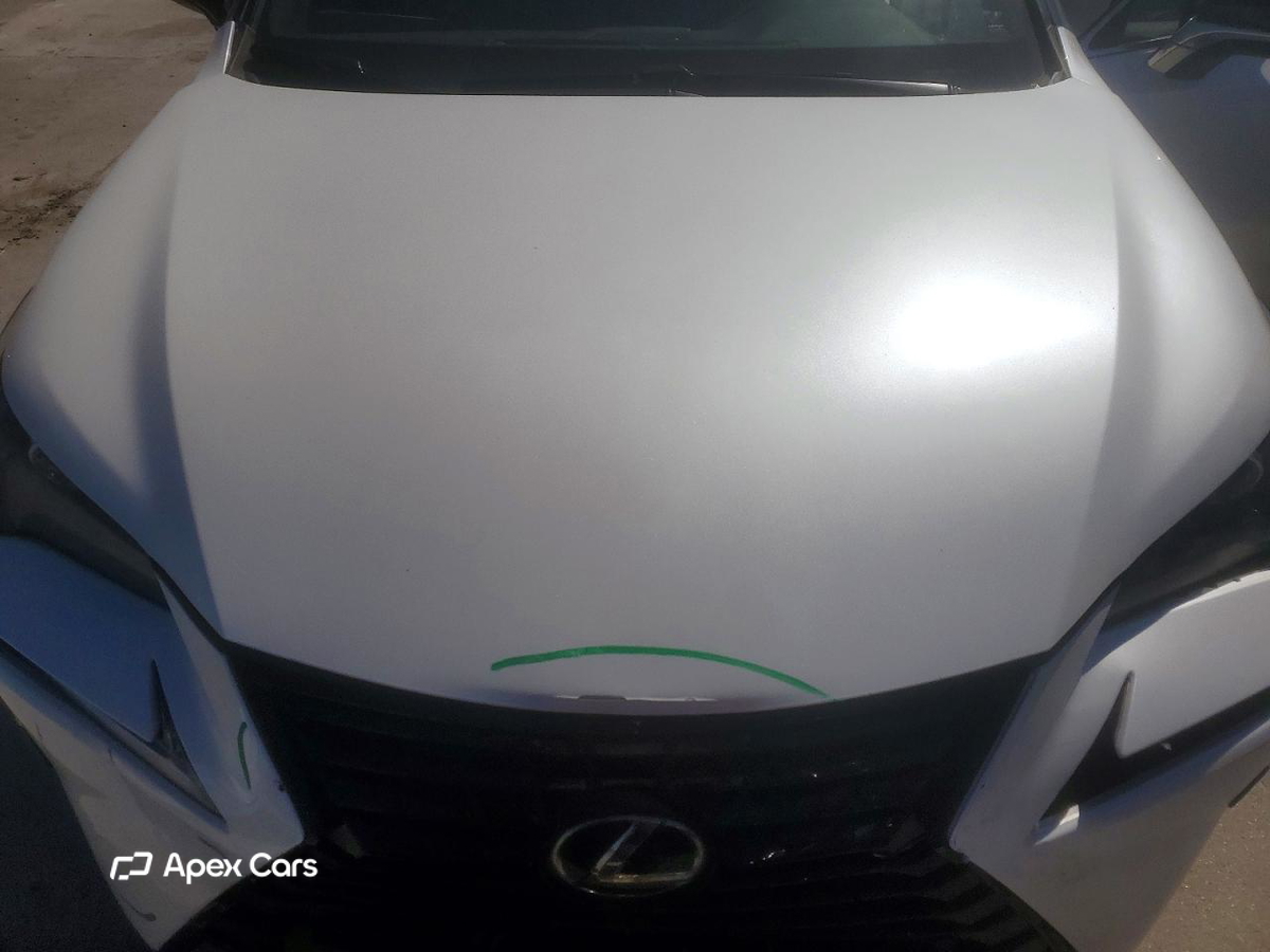 Lexus NX 2020