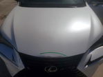 Lexus NX 2020