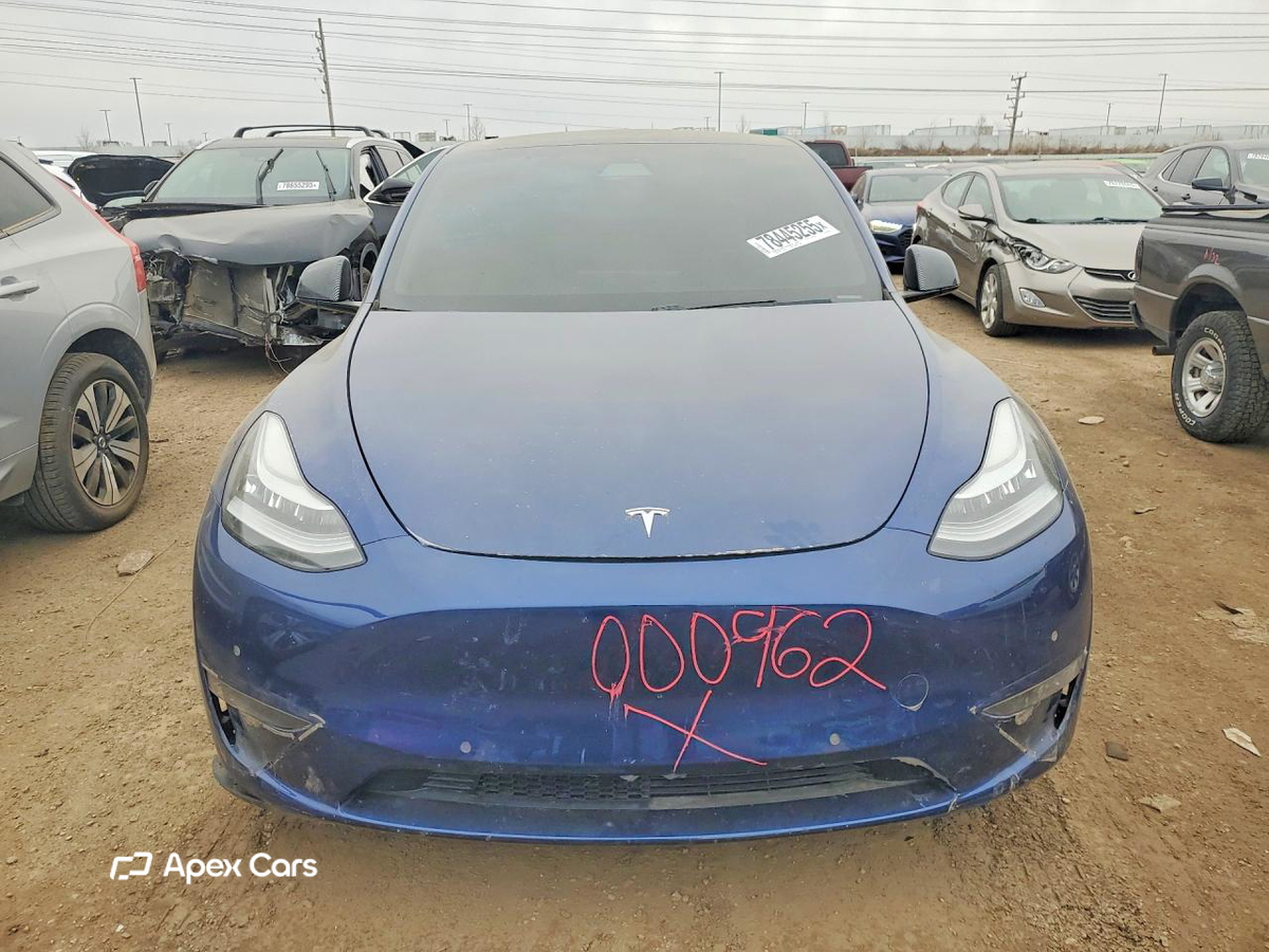 Tesla Model Y 2020