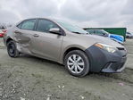 Toyota Corolla 2015