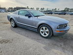 Ford Mustang 2007