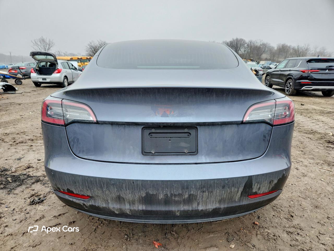 Tesla Model 3 2019