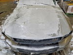 Ford Mustang 2008