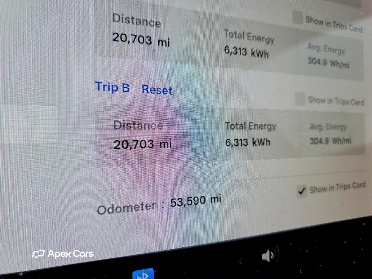 Tesla Model 3 2019