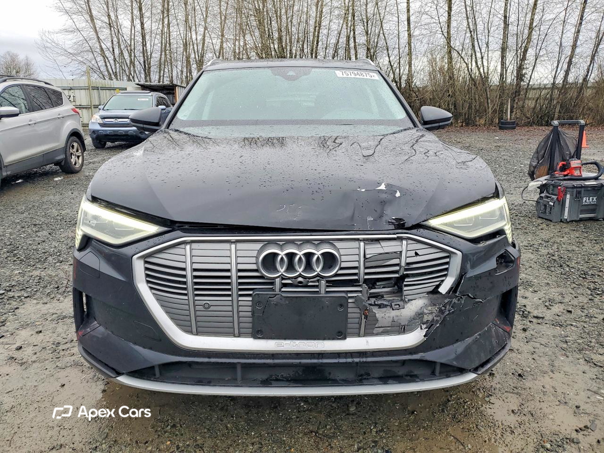 Audi e-tron 2019