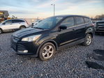 Ford Escape 2015
