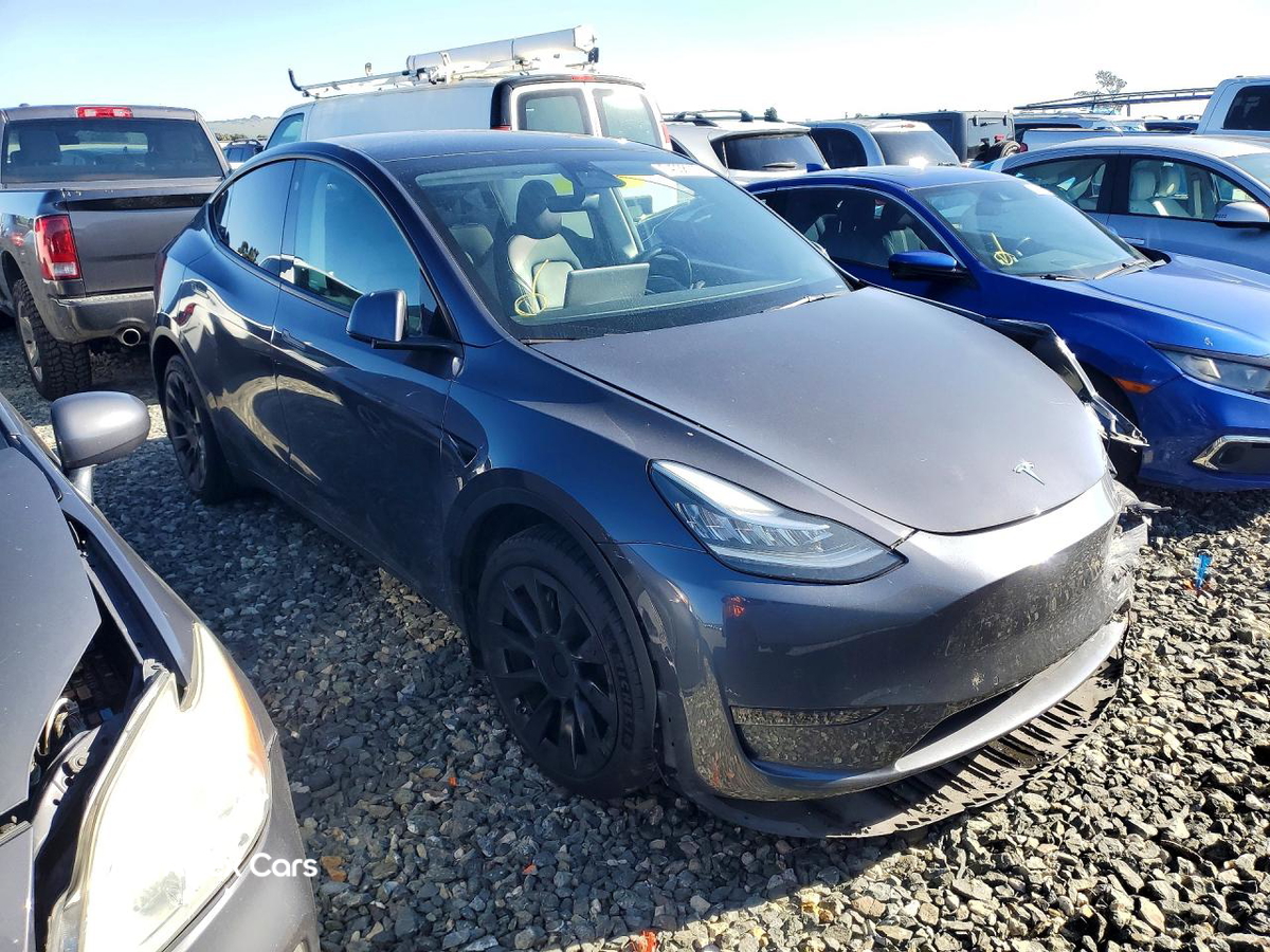 Tesla Model Y 2022