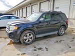 Ford Escape 2012