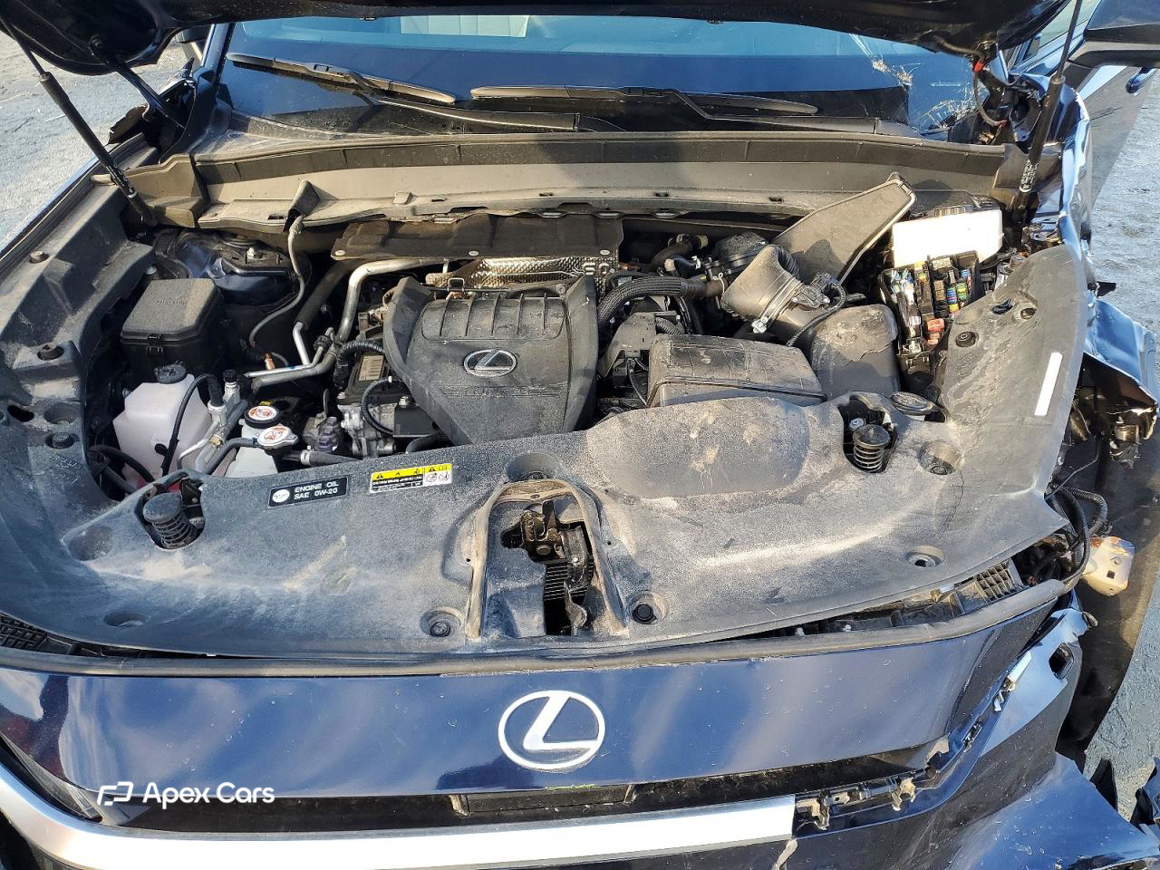 Lexus TX 2024
