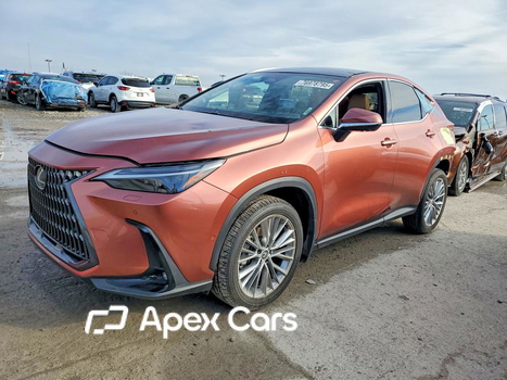 Lexus NX 2025 - Zdjęcie 1 z 14