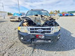 Ford Escape 2012