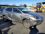 Lexus NX 2021