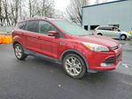 Ford Escape 2014