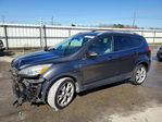 Ford Escape 2015