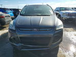Ford Escape 2016