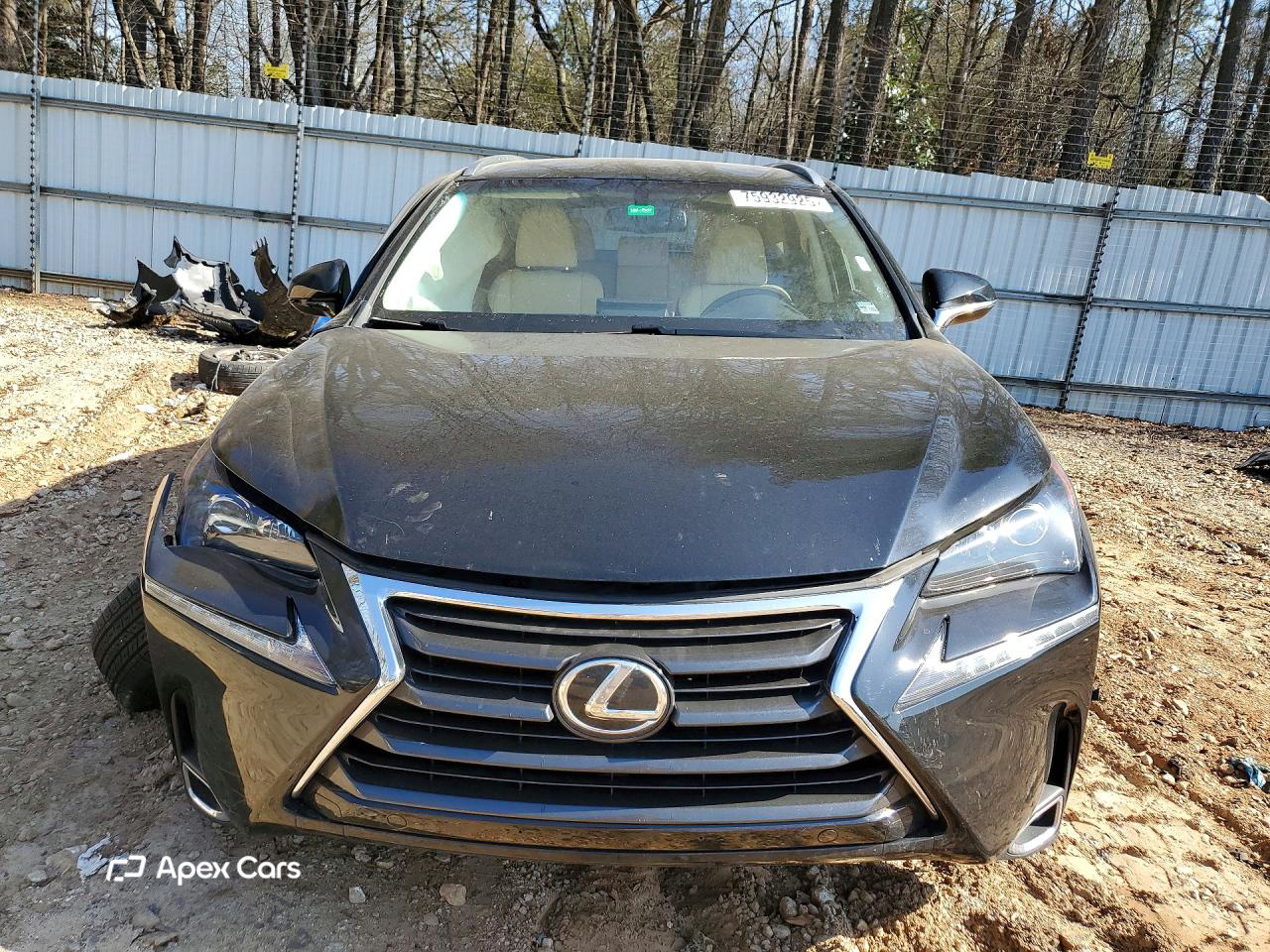 Lexus NX 2016