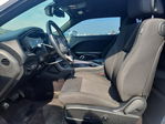 Dodge Challenger 2019