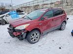 Ford Escape 2013