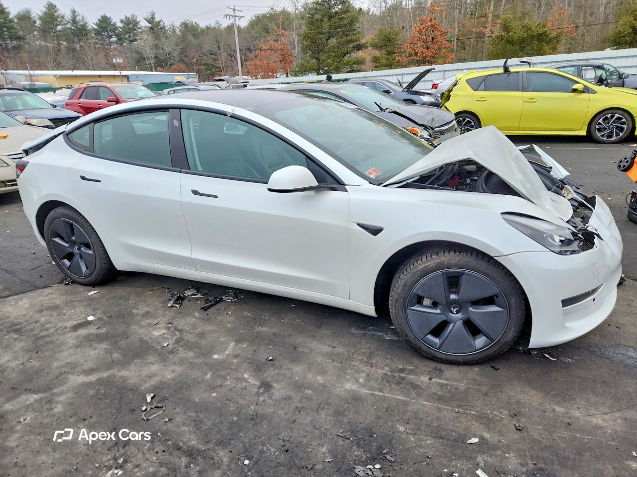 Tesla Model 3 2022