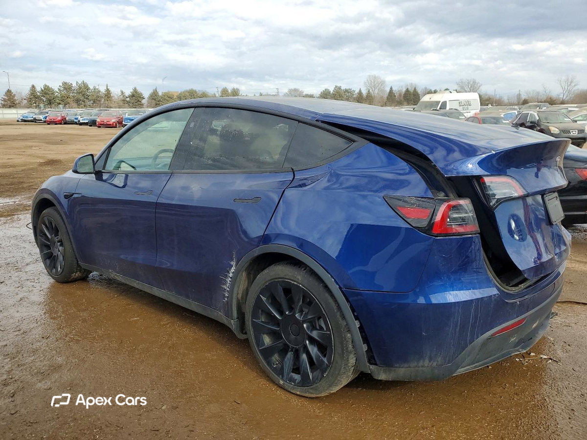 Tesla Model Y 2024