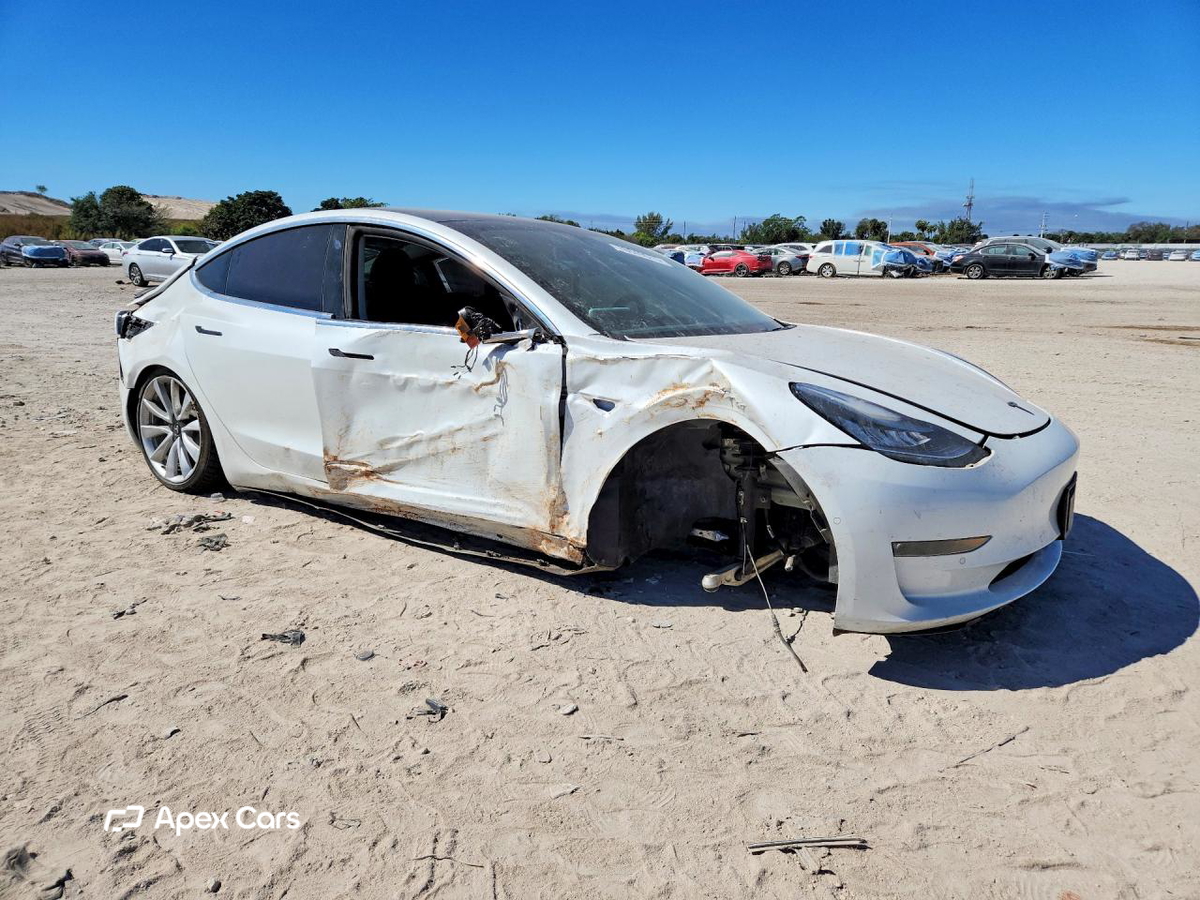 Tesla Model 3 2019