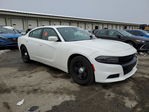 Dodge Charger 2019