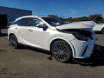 Lexus RX 2023