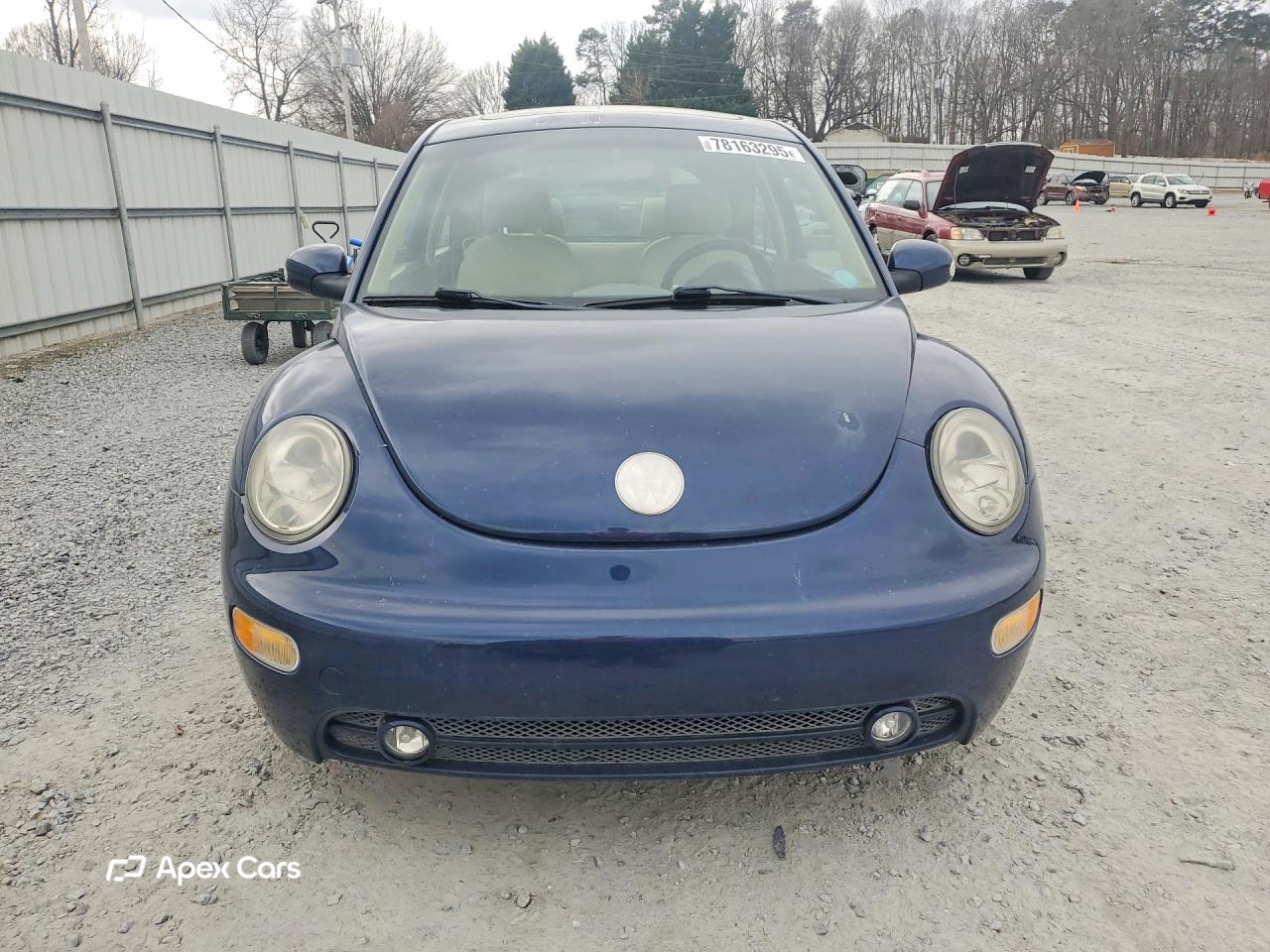 Volkswagen Beetle 2004