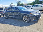 Lexus ES 2023