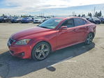 Lexus IS 2011