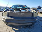 Ford Mustang 2007
