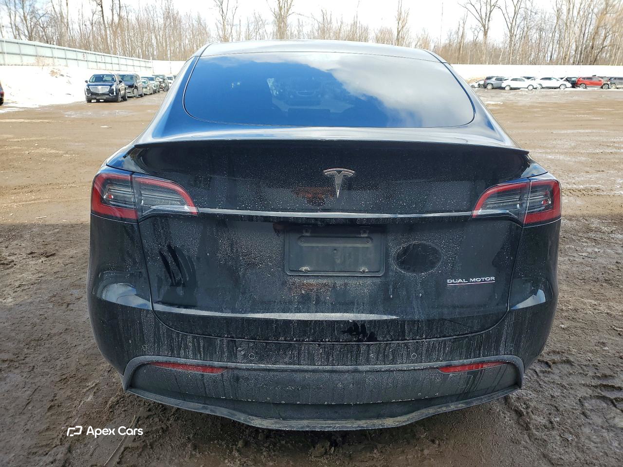 Tesla Model Y 2021