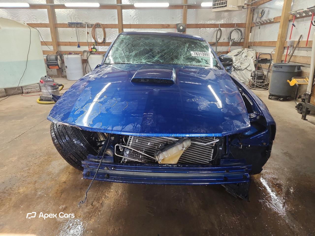 Ford Mustang 2007