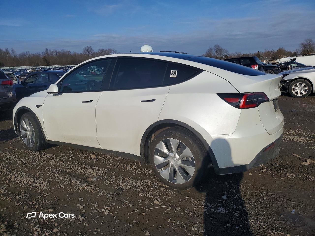 Tesla Model Y 2021