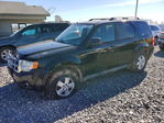 Ford Escape 2010