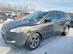 Ford Escape 2015