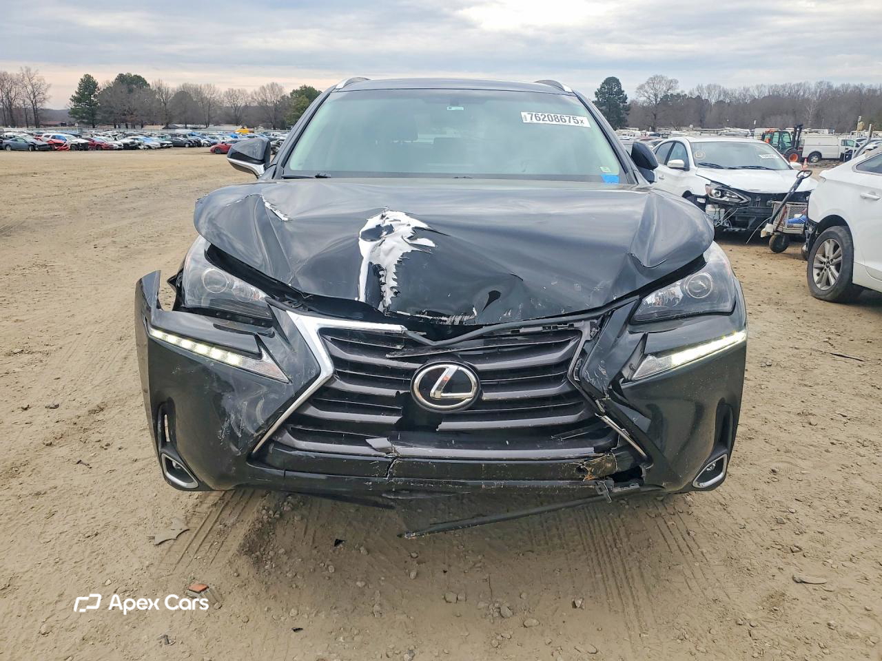 Lexus NX 2015