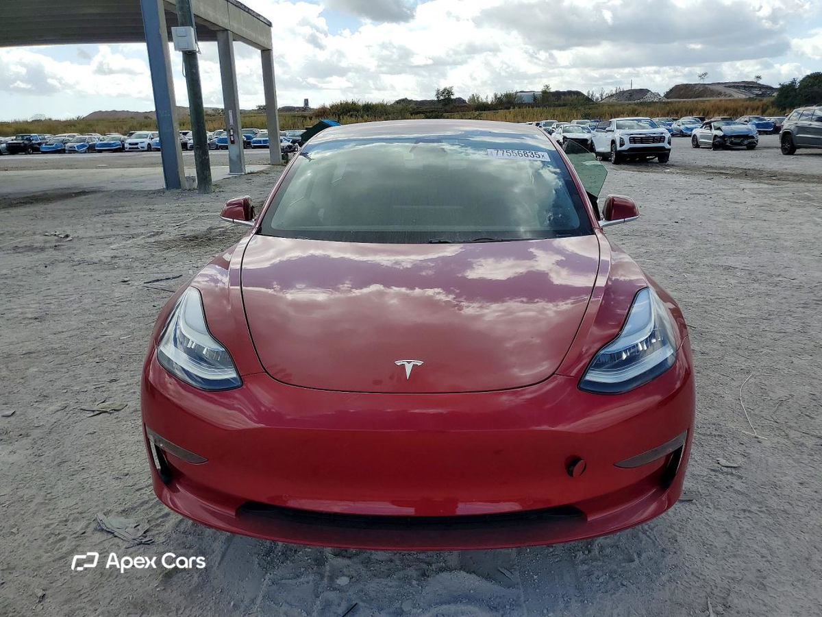 Tesla Model 3 2019
