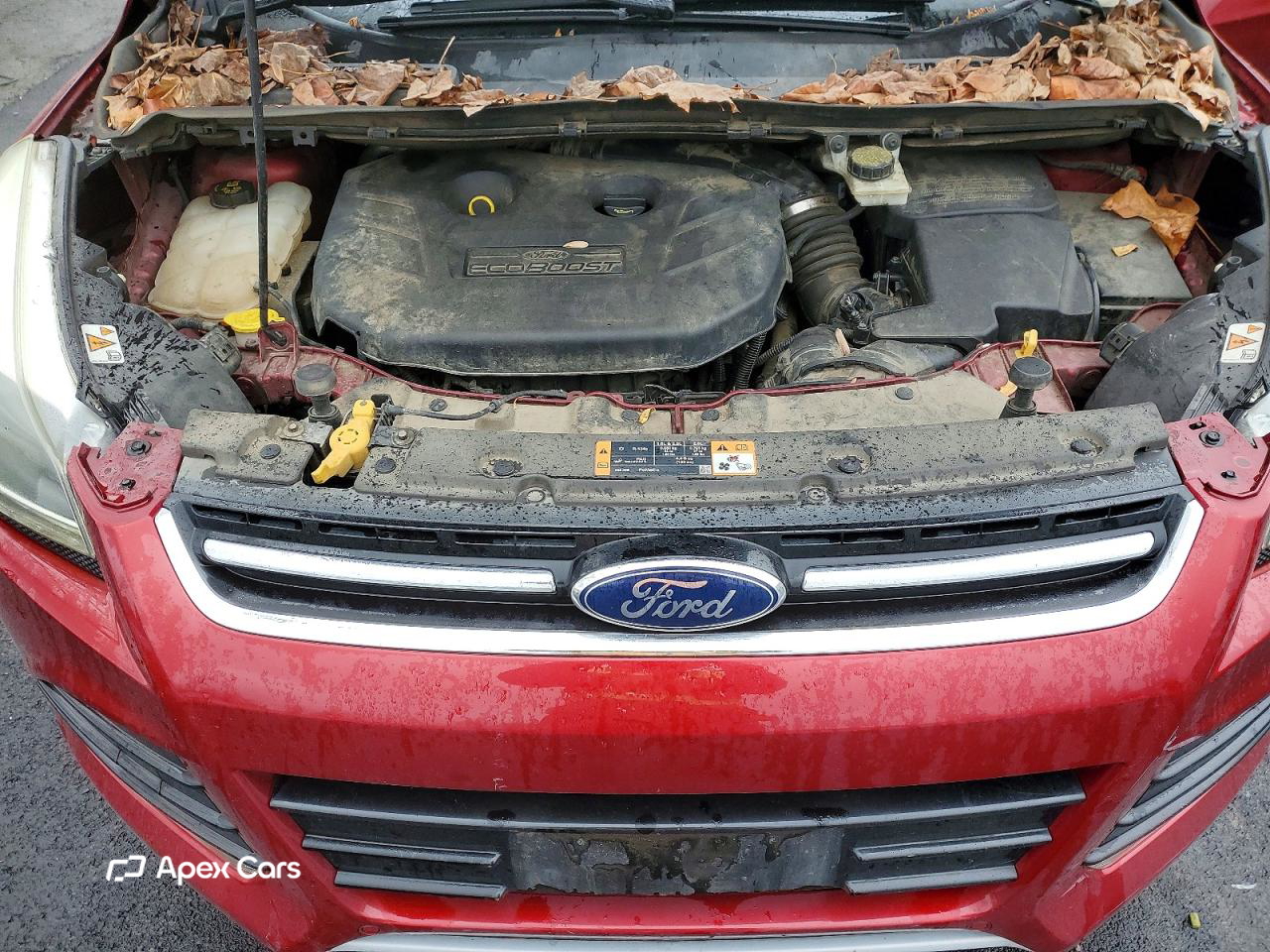 Ford Escape 2014