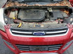 Ford Escape 2014