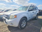 Ford Escape 2008