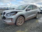 Ford Escape 2021