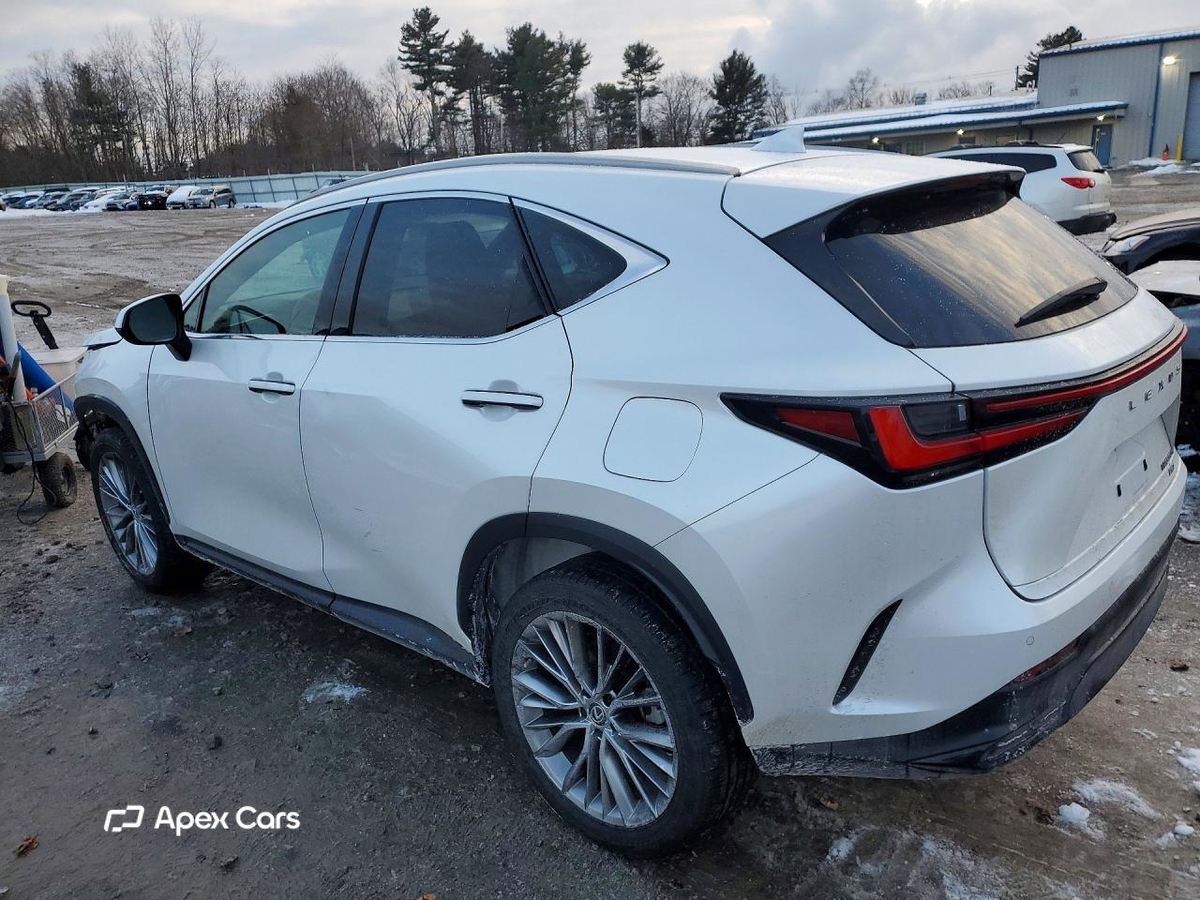 Lexus NX 2023